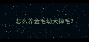怎么养金毛幼犬掉毛