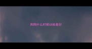 狗狗什么时候训练最好