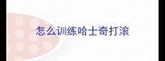 怎么训练哈士奇打滚