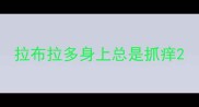 拉布拉多身上总是抓痒