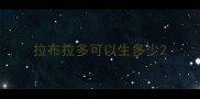 拉布拉多可以生多少