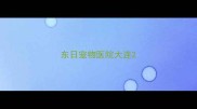 东日宠物医院大连