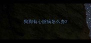 狗狗有心脏病怎么办