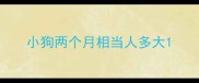 小狗两个月相当人多大