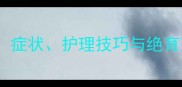 母边牧发情全攻略时间症状护理技巧与绝育建议附科学应对指南
