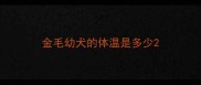 金毛幼犬的体温是多少