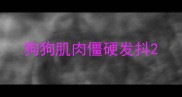 狗狗肌肉僵硬发抖