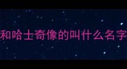和哈士奇像的叫什么名字