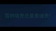 雪纳瑞贵还是泰迪贵