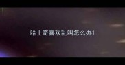 哈士奇喜欢乱叫怎么办