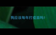 狗应该每年打疫苗吗