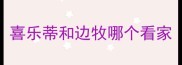 喜乐蒂和边牧哪个看家