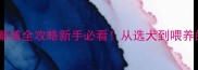 拉布拉多精品繁殖全攻略新手必看从选犬到喂养的保姆级指南