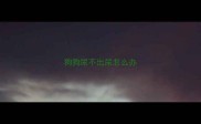 狗狗尿不出尿怎么办