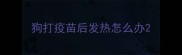 狗打疫苗后发热怎么办