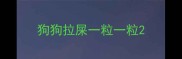狗狗拉屎一粒一粒