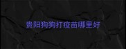 贵阳狗狗打疫苗哪里好