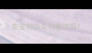 在宠物店买狗靠谱吗