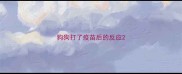 狗狗打了疫苗后的反应