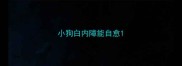 小狗白内障能自愈