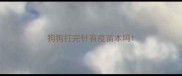 狗狗打完针有疫苗本吗