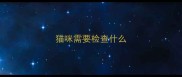 猫咪需要检查什么