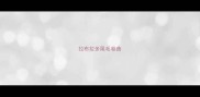 拉布拉多尾毛卷曲