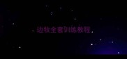 边牧全套训练教程