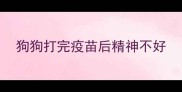 狗狗打完疫苗后精神不好