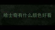 哈士奇有什么颜色好看