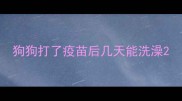 狗狗打了疫苗后几天能洗澡