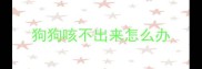狗狗咳不出来怎么办