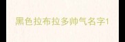 黑色拉布拉多帅气名字