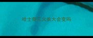 哈士奇三火长大会变吗