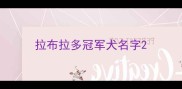 拉布拉多冠军犬名字
