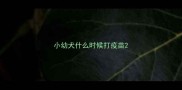 小幼犬什么时候打疫苗
