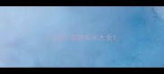 可爱的宠物名字大全