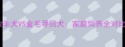 德国牧羊犬VS金毛寻回犬家庭饲养全对比指南