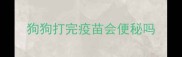 狗狗打完疫苗会便秘吗