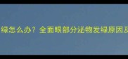 狗狗晚上眼睛发绿怎么办全面眼部分泌物发绿原因及家庭护理指南