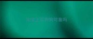淘宝上买狗狗可靠吗