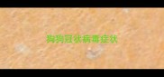 狗狗冠状病毒症状