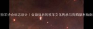 边牧牧羊协会标志设计会徽背后的牧羊文化传承与狗狗福利指南