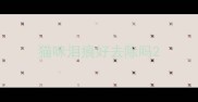 猫咪泪痕好去除吗