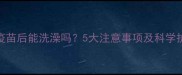 狗狗打疫苗后能洗澡吗5大注意事项及科学护理指南