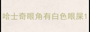 哈士奇眼角有白色眼屎