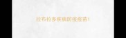 拉布拉多疾病防疫疫苗