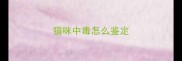 猫咪中毒怎么鉴定