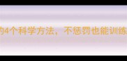 泰迪纠正不听话的4个科学方法不惩罚也能训练到位附实操指南