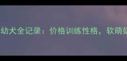 深色蓝陨边牧幼犬全记录价格训练性格软萌奶团养成指南